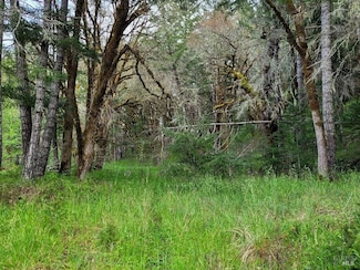 0 Muir Mill Rd, Willits, CA 95490