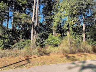 1009 Millie St, Longview, TX 75602