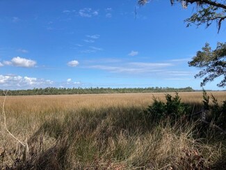 Lot 43 Sanderling Trace, Waverly, GA 31565