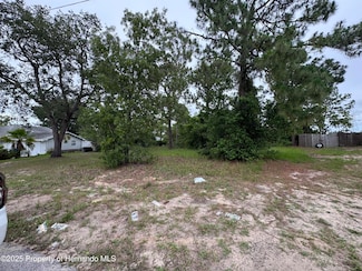 13164 Oneida St, Spring Hill, FL 34609