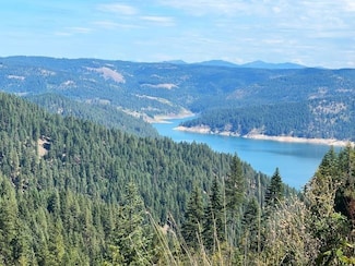 0 Freeman Creek Rd Unit 23053832, Lenore, ID 83541