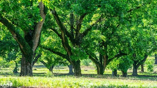 0 Highway 18 Hwy Unit 25357115, Raymond, MS 39154