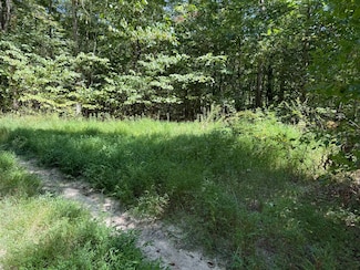 1 Cat Den Rd, Liberty, KY 42539