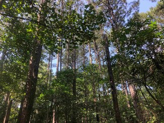 0 Fayetteville Hwy, Godwin, NC 28344