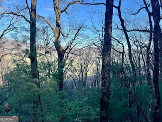 0 Mule Branch Rd Unit 10655521, Helen, GA 30545