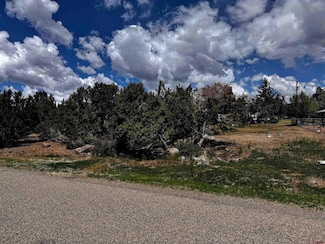 Lot 10 NE Ginters Grove Ln, Cedaredge, CO 81413