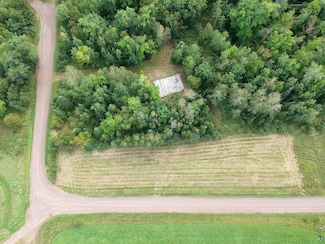 4242 Blueberry Rd, Skelton Township, MN 55707
