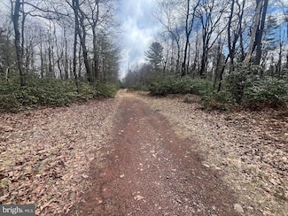 74 & 75 Elm Dr, Catawissa, PA 17820