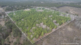 42 Acres C Brown Dr, Lumberton, MS 39455