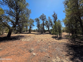 Parcel N Bull Run Rd, Valle, AZ 86046
