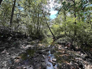 TBD Waters Ln, Mena, AR 71953