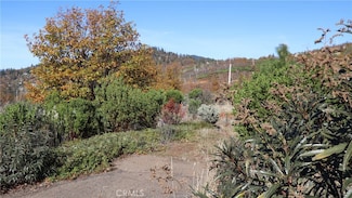 15530 Sugar Pine Dr, Cobb, CA 95426