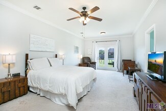 41185 Lakeway Cove Ave, Gonzales, LA 70737
