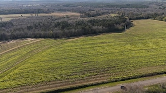 Lot 4 Gilley Mill Rd, Webb, AL 36376