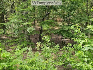 58 Pamplona Way, Hot Springs Village, AR 71909