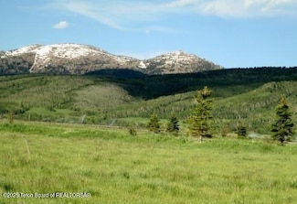 1185 Sorensen Way, Moose, WY 83012