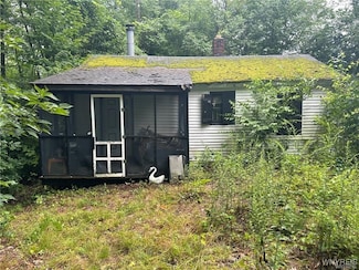 0 Jones Hill Rd, Coldspring, NY 14772