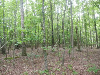Lot # 24 Maple Springs Ln, Bear Creek, NC 27207