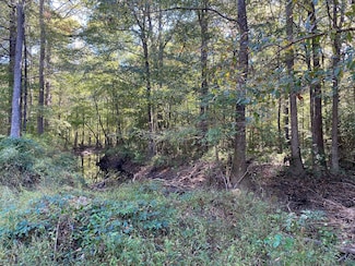 0 St Anne Rd Unit 18059597, Carthage, MS 39051