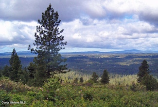 Lot 33 E Robin Ln, Chattaroy, WA 99003