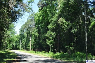 TBD Lot 3K 3L Branchwood Rd, Clio, SC 29525
