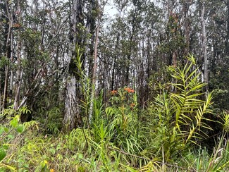 0 Leila Rd Unit 711182, Volcano, HI 96785