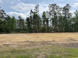 TBD 2 Saint John Rd, Galivants Ferry, SC 29544