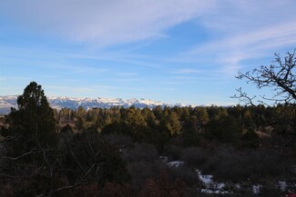 TBD Government Springs Rd, Montrose, CO 81403
