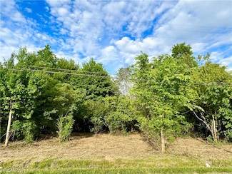 S/L 41 E S Medina Line Rd, Copley, OH 44321