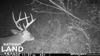 000 Private Rd Berry Rd, Valley Grande, AL 36701