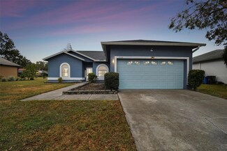 1330 Monte Lake Dr, Valrico, FL 33596