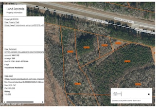 6 Acres Harvey Bowen Ln, Bolton, NC 28423