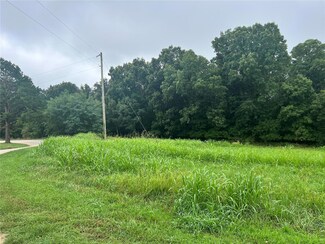 195 Stoney Point Dr, Whitewater, MO 63785