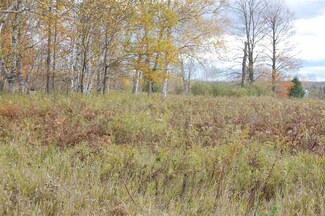 TBD Sunset Blvd, Alanson, MI 49706