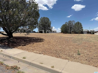 605 Malachite Ave, Tyrone, NM 88061