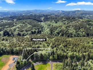 1420 Raymond South Bend Rd, Raymond, WA 98577