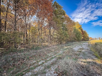 0 County Road 105, Hickory Ridge, AR 72347
