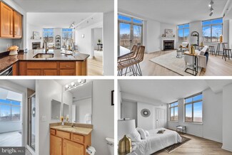 4480 Market Commons Dr Unit 604, Fairfax, VA 22033