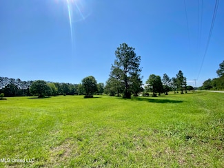 0 Carey Byrd Rd Unit 4112737, Carriere, MS 39426