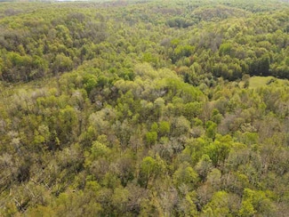 TBD Mt Bliss Rd, East Jordan, MI 49727