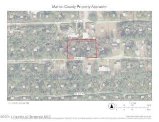 0 NE 236th Ln Unit 2256633, Fort McCoy, FL 32134