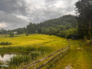 Tbd Stanley Valley Rd, Gate City, VA 24251