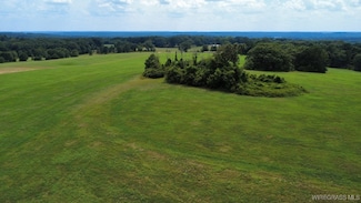 Lot 3 County Road 70, Ariton, AL 36311