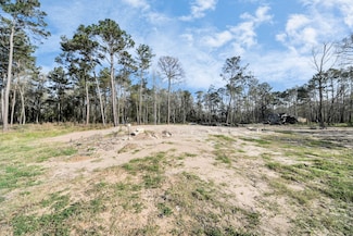16915 Payne Rd, Conroe, TX 77302