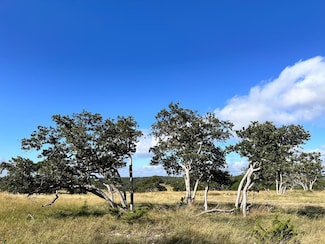 Lot 41 Buckskin Path Unit 41, Fredericksburg, TX 78624