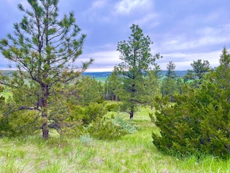 69 Colter Trail, Columbus, MT 59019