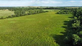 51.19 Acres 853 Rd, Pierce, NE 68767