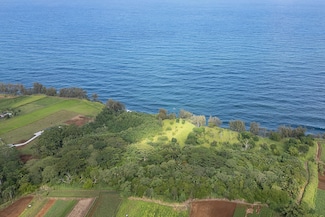 28-110 Kulaimano Homestead Rd, Pepeekeo, HI 96783