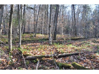 0 Hemlock Ln Unit 4693828, Ripton, VT 05766