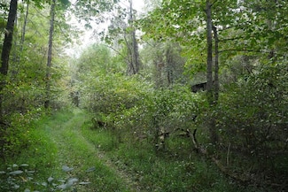 TBD Bryson Cove Rd, Abingdon, VA 24210